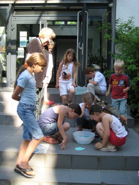 Die Lotusblüten schwimmen